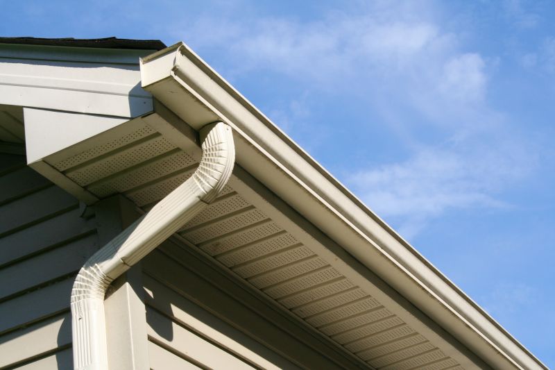 Gutter Cover Consultation